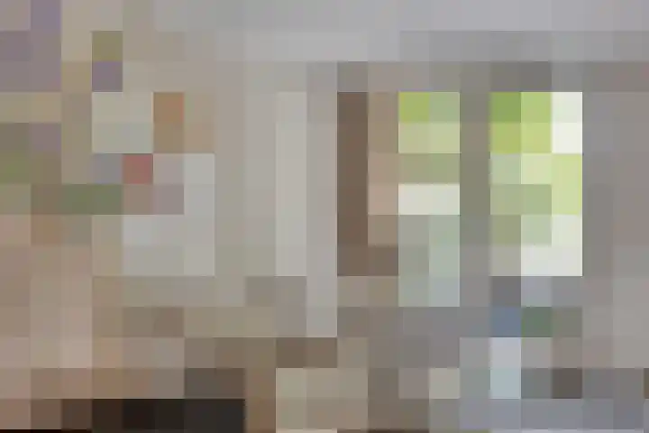 Johannieterhof 23 Oudewater thumbnail 4