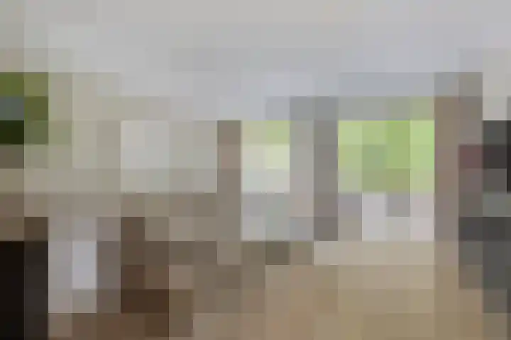 Johannieterhof 23 Oudewater thumbnail 5