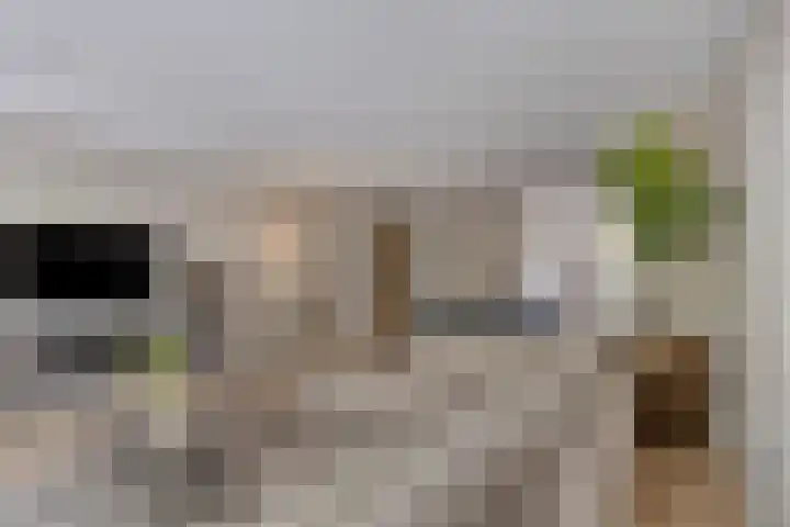 Johannieterhof 23 Oudewater thumbnail 7