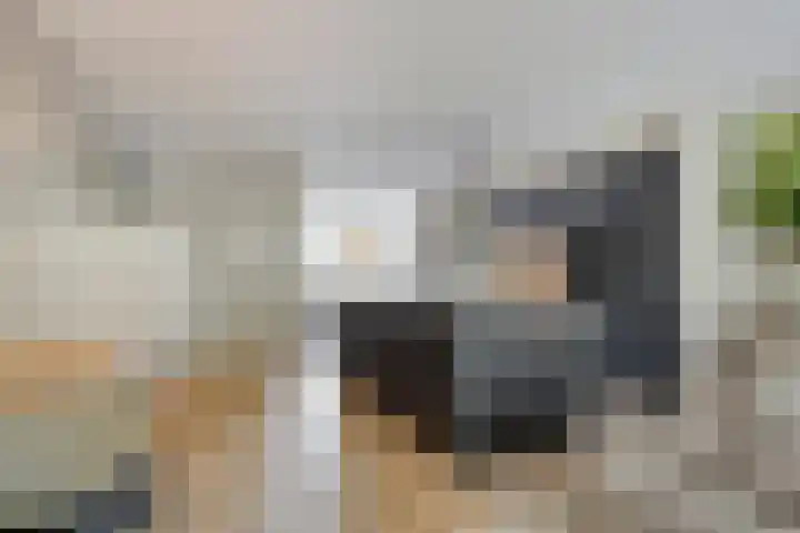 Johannieterhof 23 Oudewater thumbnail 9