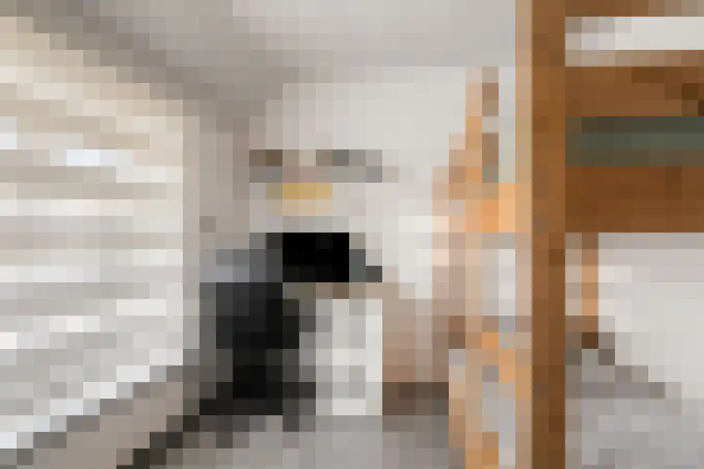 Johannieterstraat 31 Oosterhout thumbnail 15