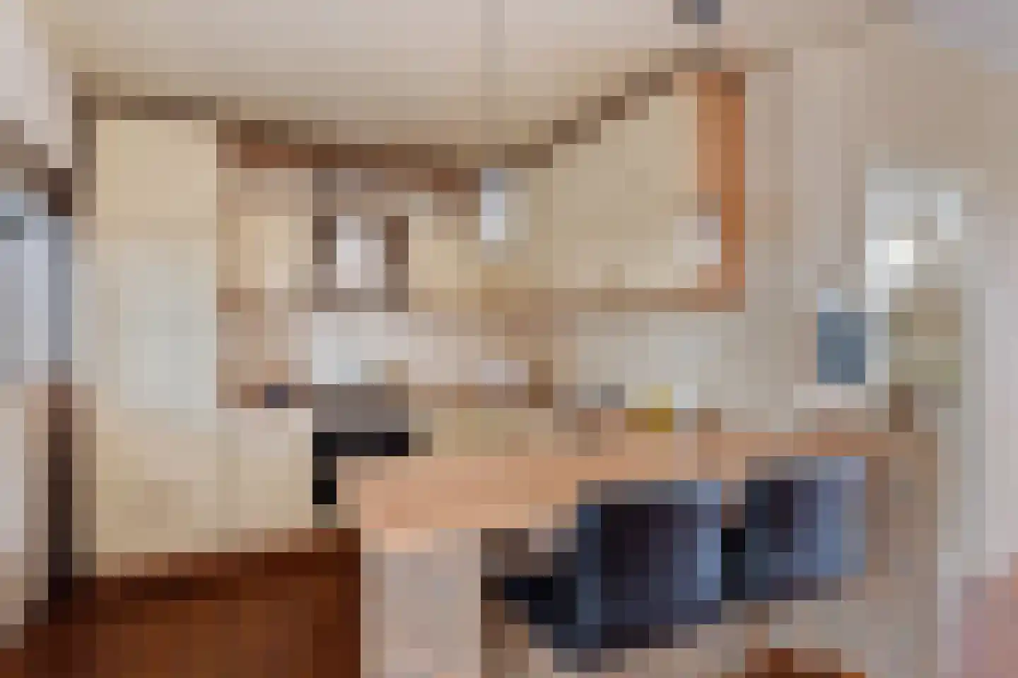 Johanninksweg 43 Denekamp thumbnail 10