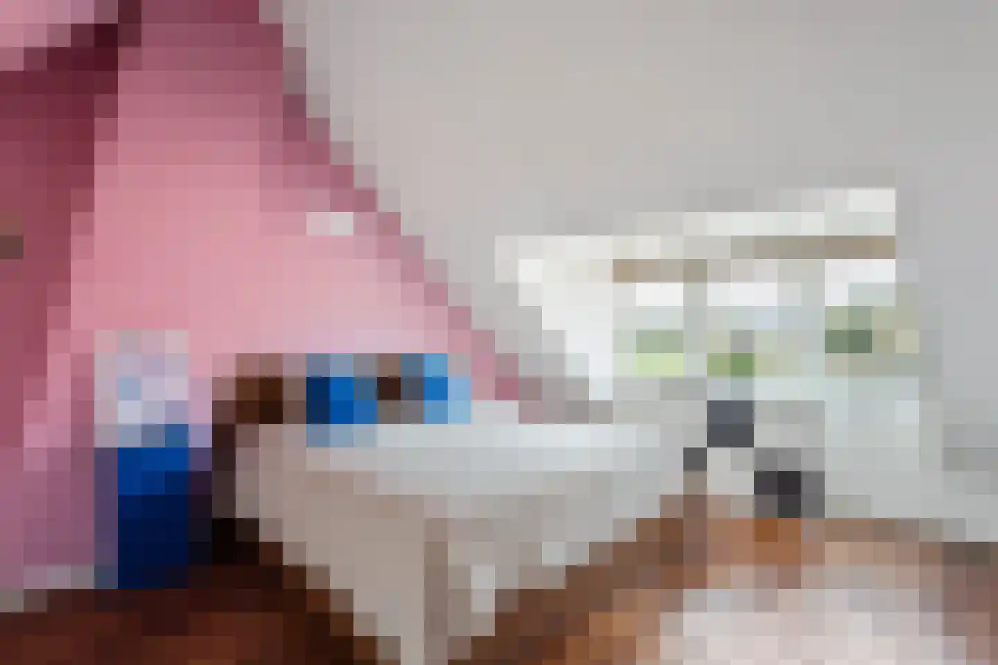 Johanninksweg 43 Denekamp thumbnail 15