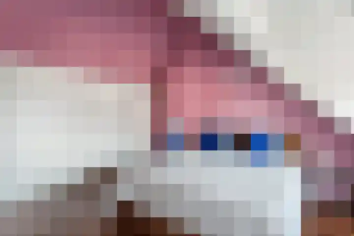 Johanninksweg 43 Denekamp thumbnail 16