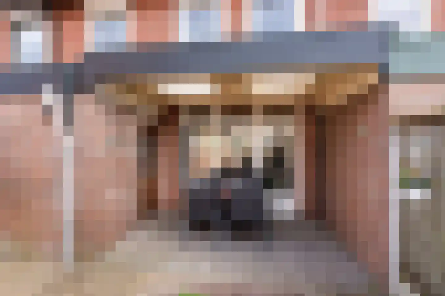 Johanninksweg 43 Denekamp thumbnail 18