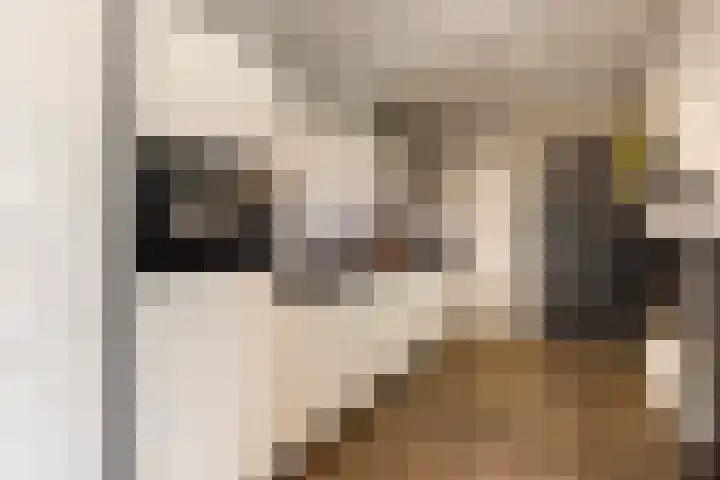 Johanninksweg 53 Denekamp thumbnail 10
