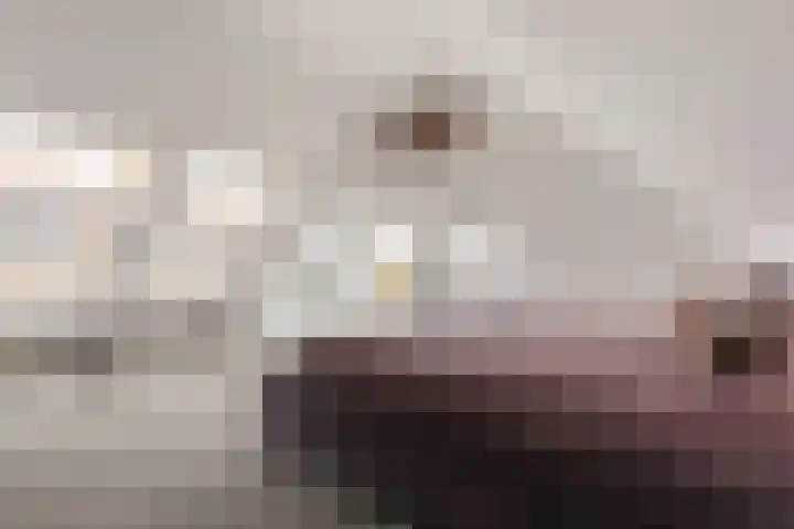 Johanninksweg 53 Denekamp thumbnail 16