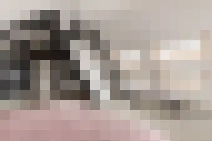 Johanninksweg 53 Denekamp thumbnail 17