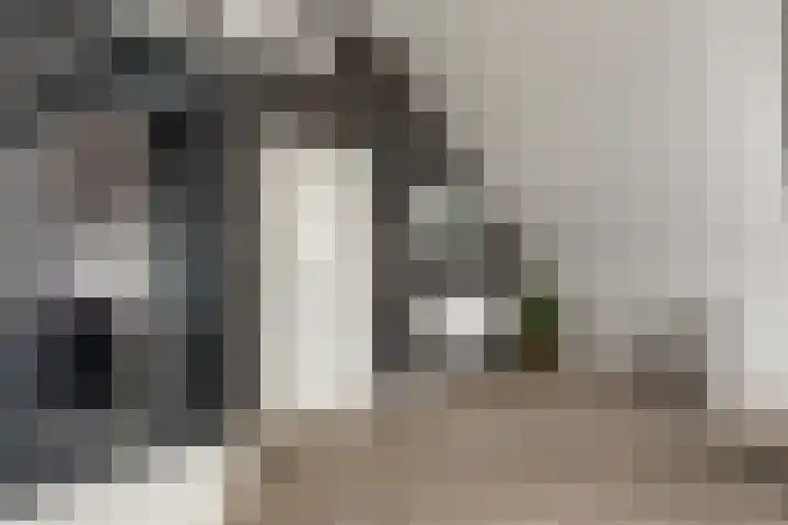 Johanninksweg 53 Denekamp thumbnail 18