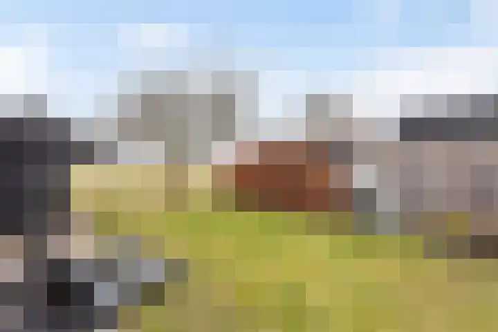 Johanninksweg 53 Denekamp thumbnail 22