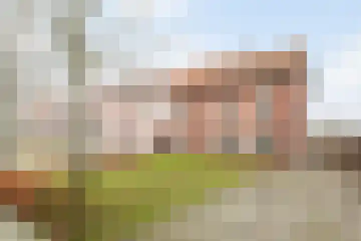 Johanninksweg 53 Denekamp thumbnail 6