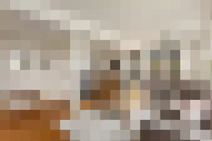 Johanninksweg 53 Denekamp thumbnail 8