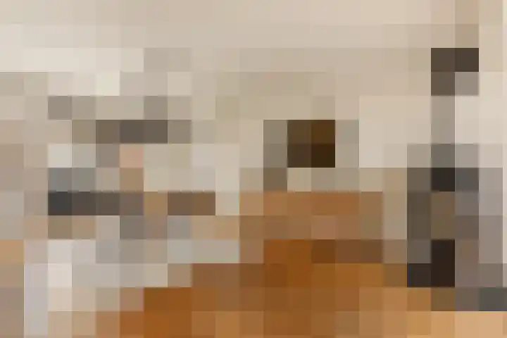 Johanninksweg 53 Denekamp thumbnail 9