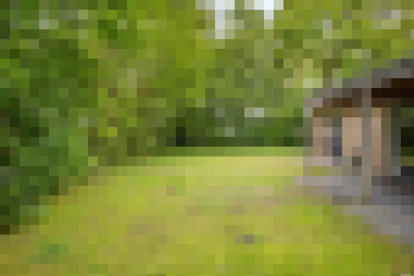 Johanninksweg 78 B69 Denekamp thumbnail 16