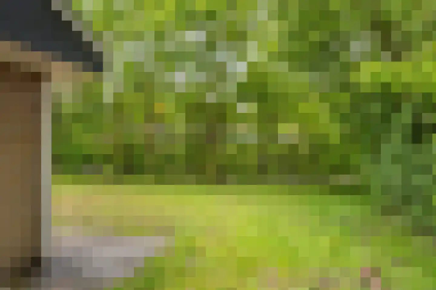 Johanninksweg 78 B69 Denekamp thumbnail 19