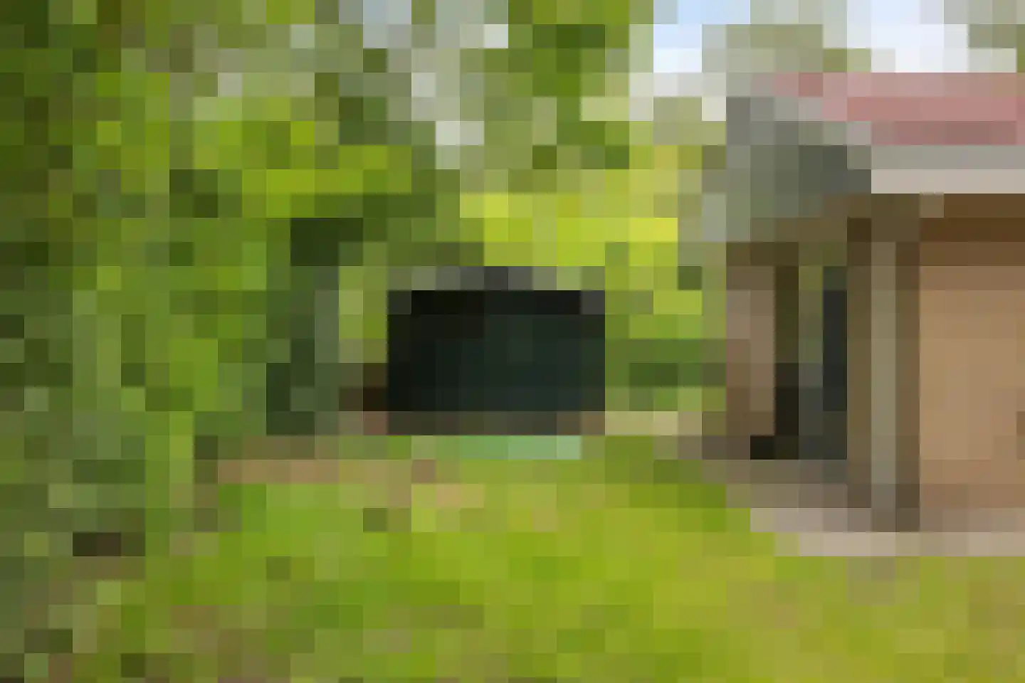 Johanninksweg 78 B69 Denekamp thumbnail 20