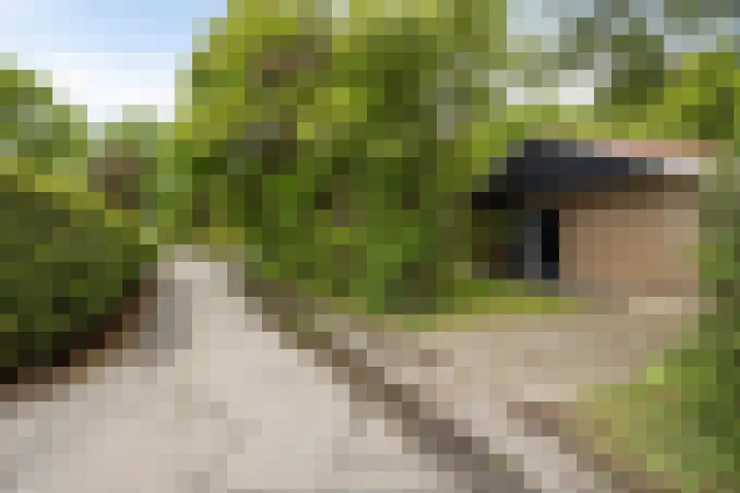 Johanninksweg 78 B69 Denekamp thumbnail 23
