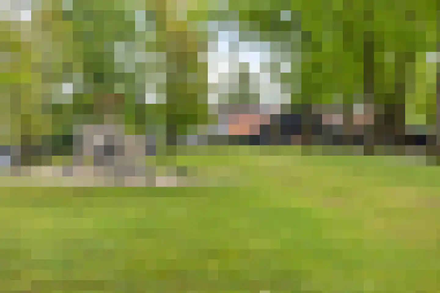 Johanninksweg 78 B69 Denekamp thumbnail 25