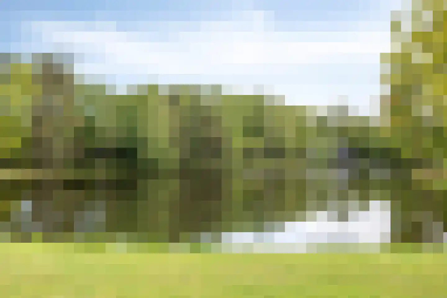 Johanninksweg 78 B69 Denekamp thumbnail 26