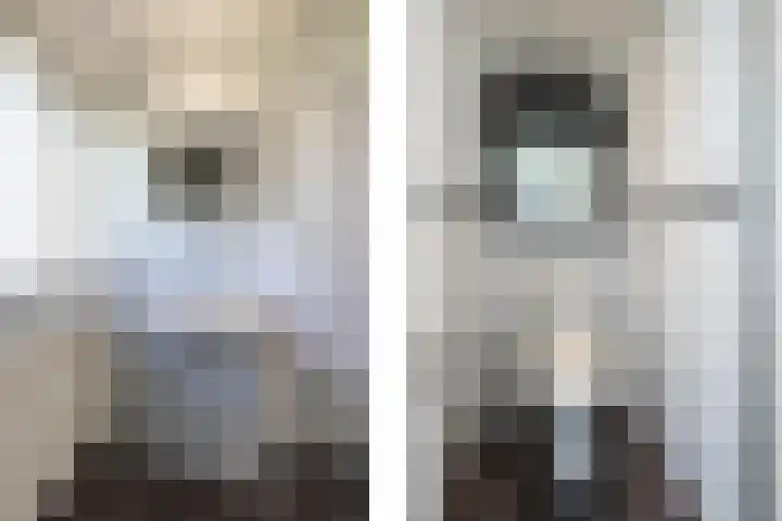 Johanninksweg 78 B7 Denekamp thumbnail 12