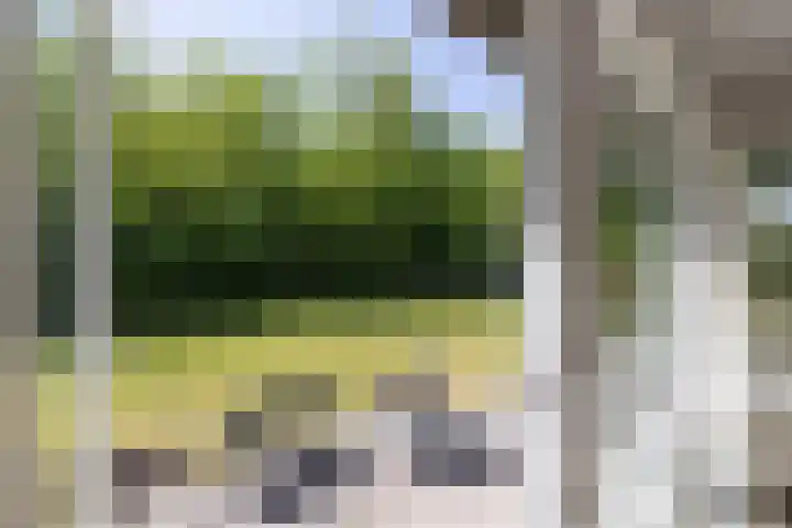 Johanninksweg 78 B7 Denekamp thumbnail 14