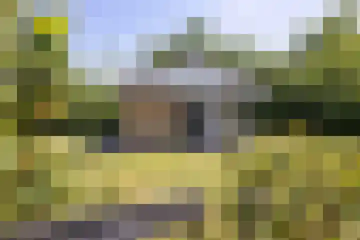 Johanninksweg 78 B7 Denekamp thumbnail 17