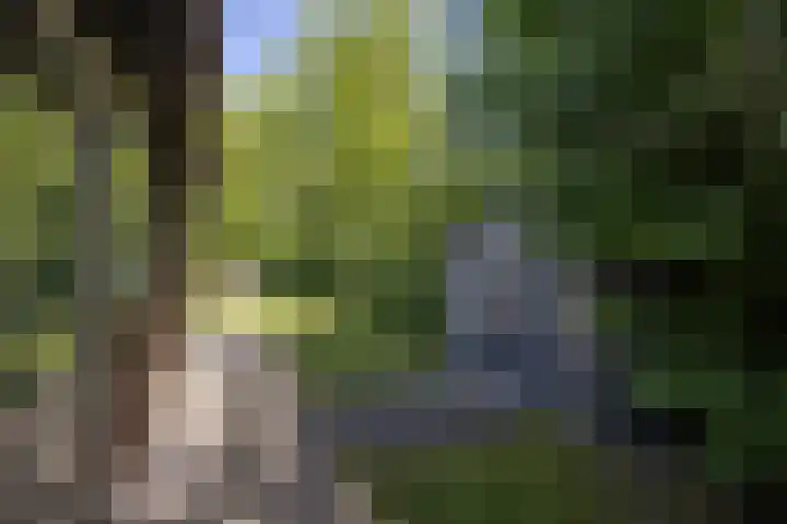 Johanninksweg 78 B7 Denekamp thumbnail 19