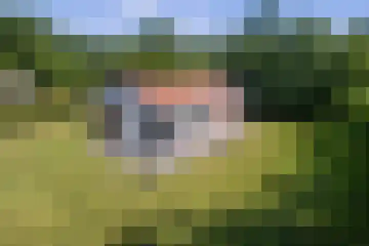 Johanninksweg 78 B7 Denekamp foto 2