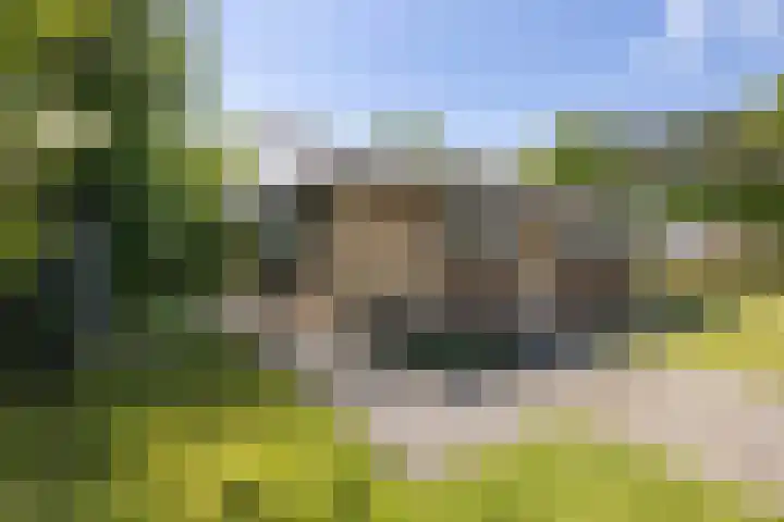 Johanninksweg 78 B7 Denekamp thumbnail 20