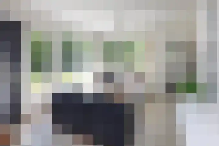 Johanninksweg 78 B7 Denekamp thumbnail 4