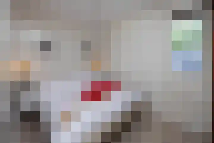 Johanninksweg 78 B7 Denekamp thumbnail 8