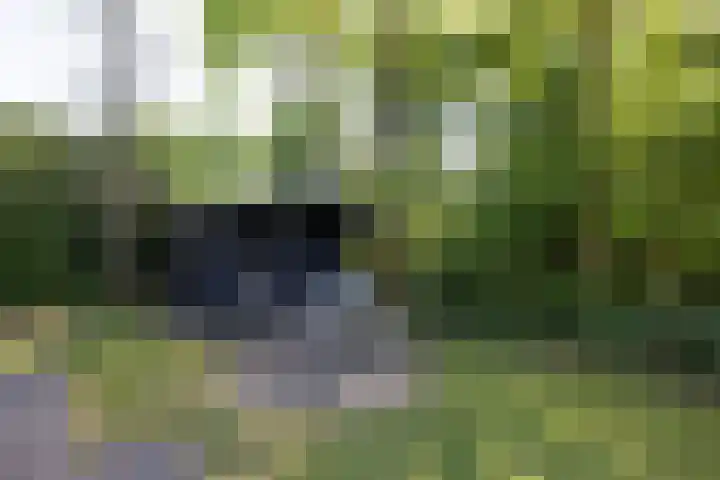 Johanninksweg 78 B70 Denekamp thumbnail 17