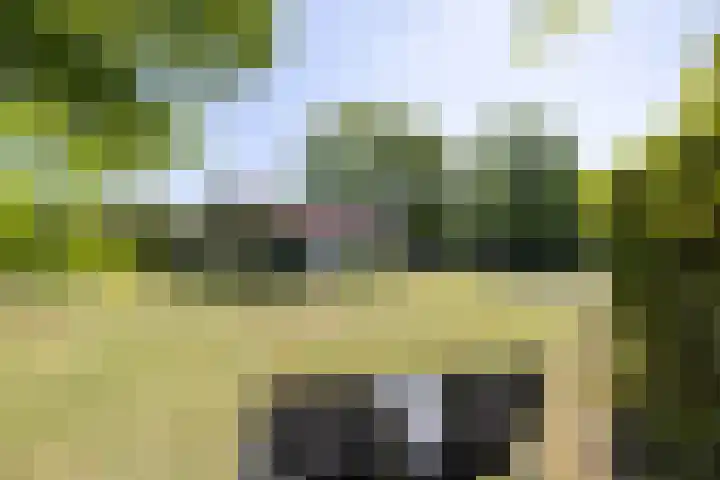 Johanninksweg 78 B70 Denekamp thumbnail 19