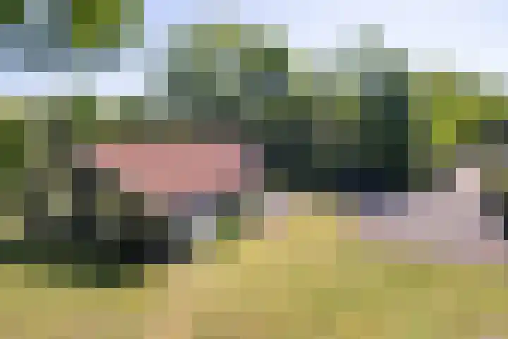 Johanninksweg 78 B70 Denekamp foto 2