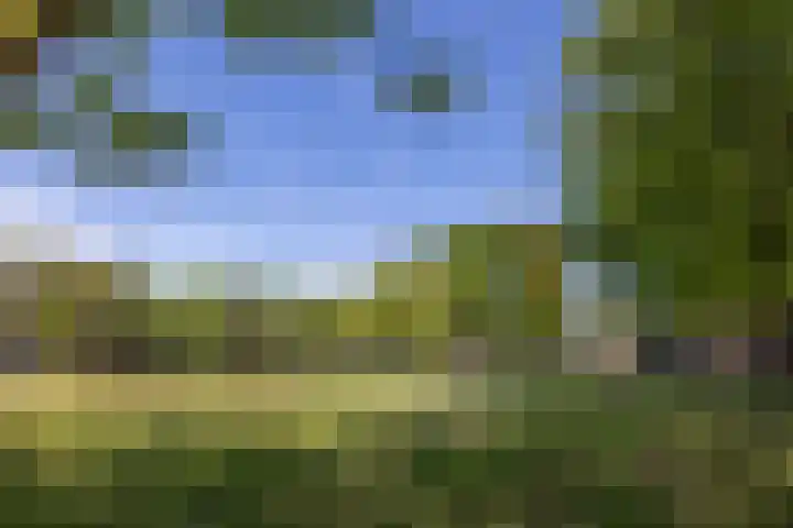 Johanninksweg 78 B70 Denekamp thumbnail 21
