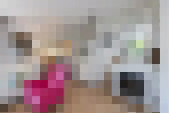 Johanninksweg 78 B70 Denekamp thumbnail 6