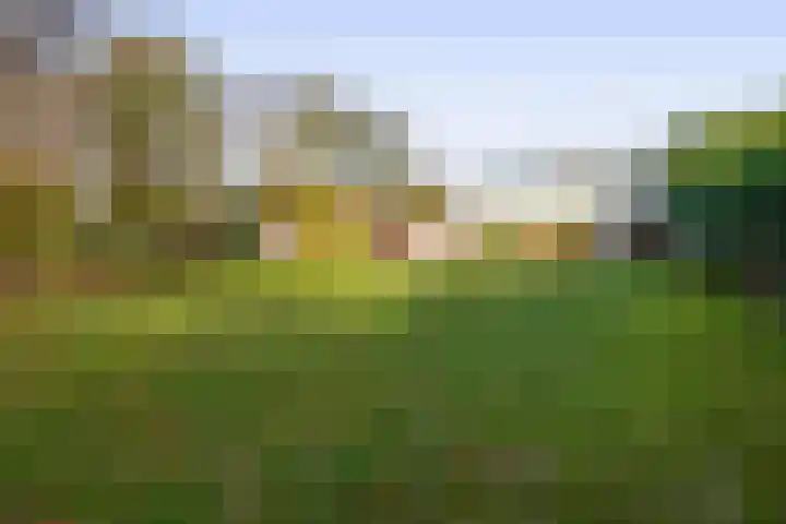 Johannis Groenewaltstraat 4 Schijndel thumbnail 31