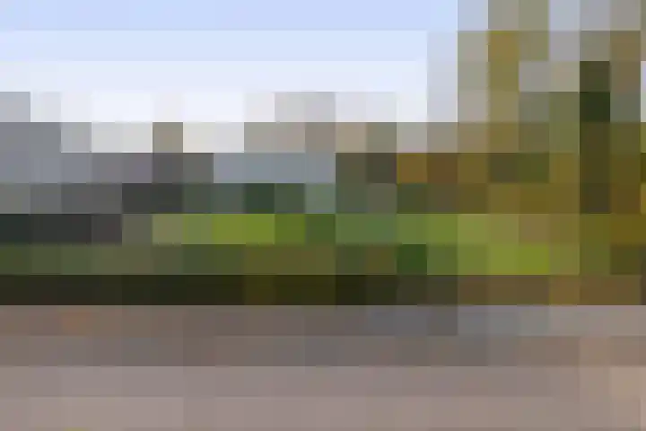 Johannis Groenewaltstraat 4 Schijndel thumbnail 57
