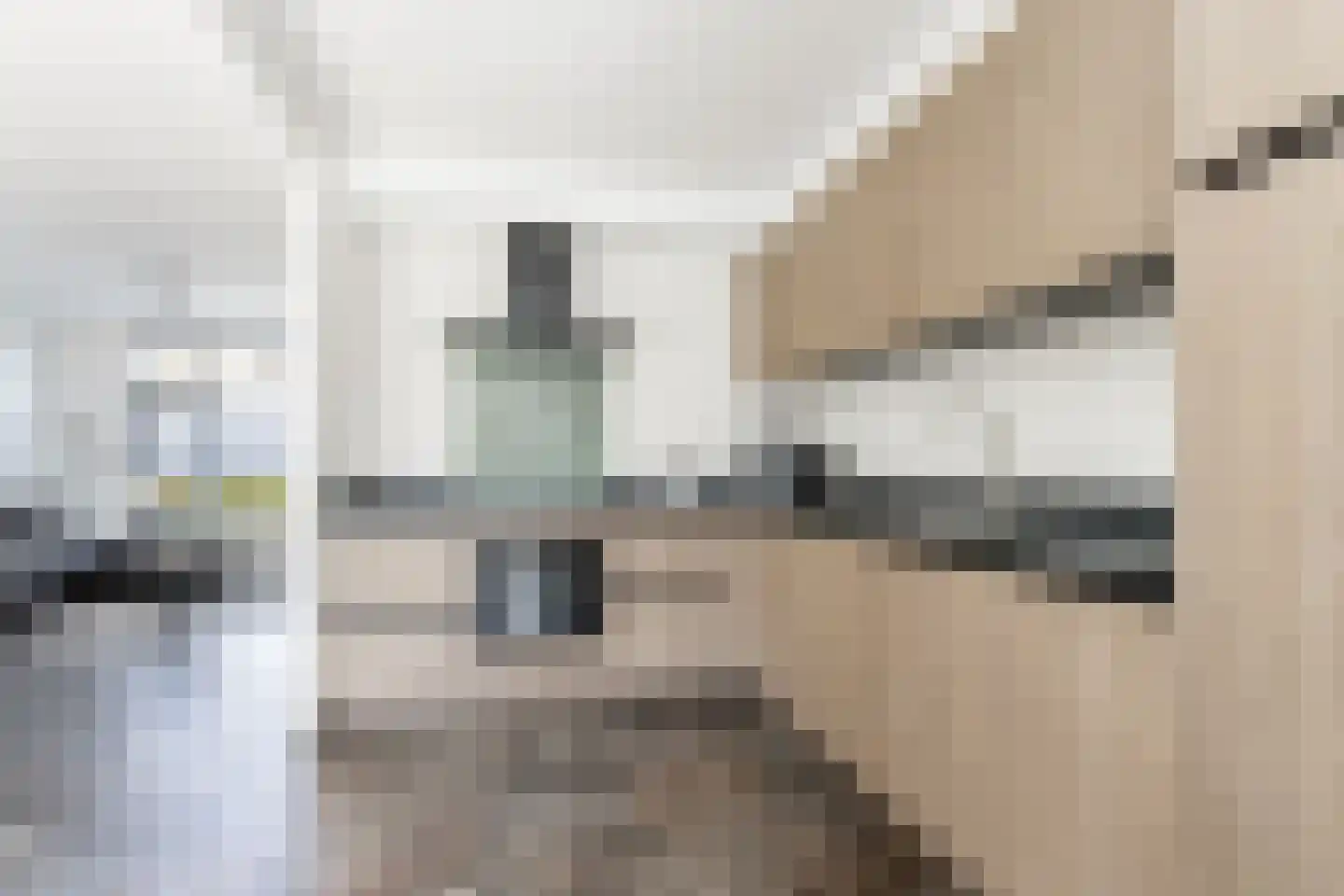 Johannis van Rijswijkstr 8 Gameren thumbnail 15