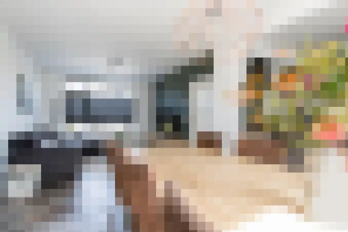 Johannis van Rijswijkstr 8 Gameren thumbnail 16