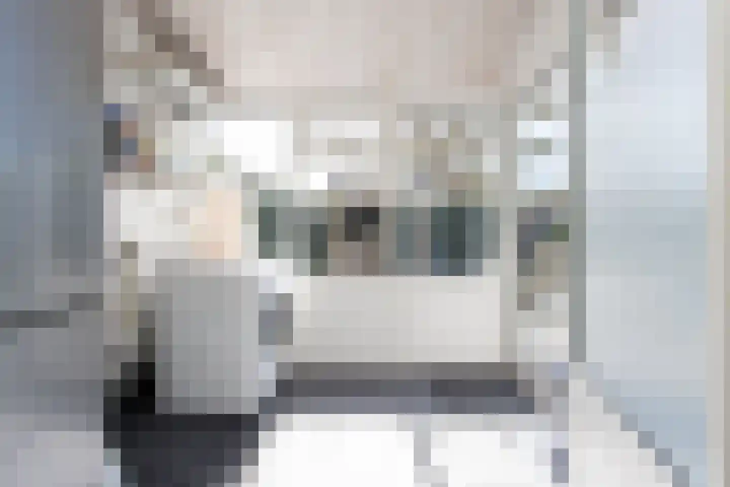 Johannis van Rijswijkstr 8 Gameren thumbnail 18