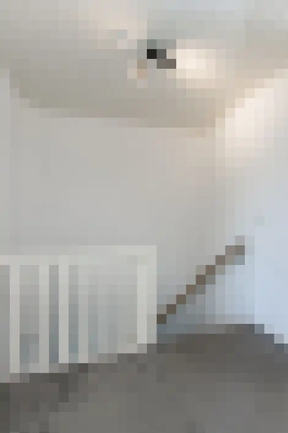 Johannis van Rijswijkstr 8 Gameren thumbnail 25