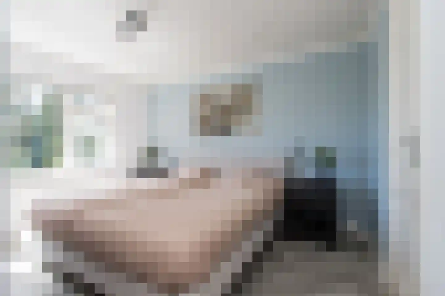 Johannis van Rijswijkstr 8 Gameren thumbnail 26