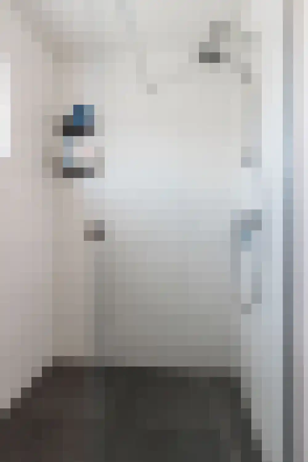 Johannis van Rijswijkstr 8 Gameren thumbnail 36