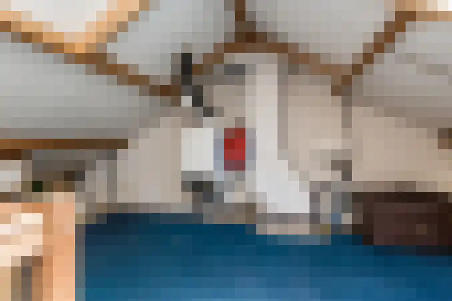 Johannis van Rijswijkstr 8 Gameren thumbnail 39