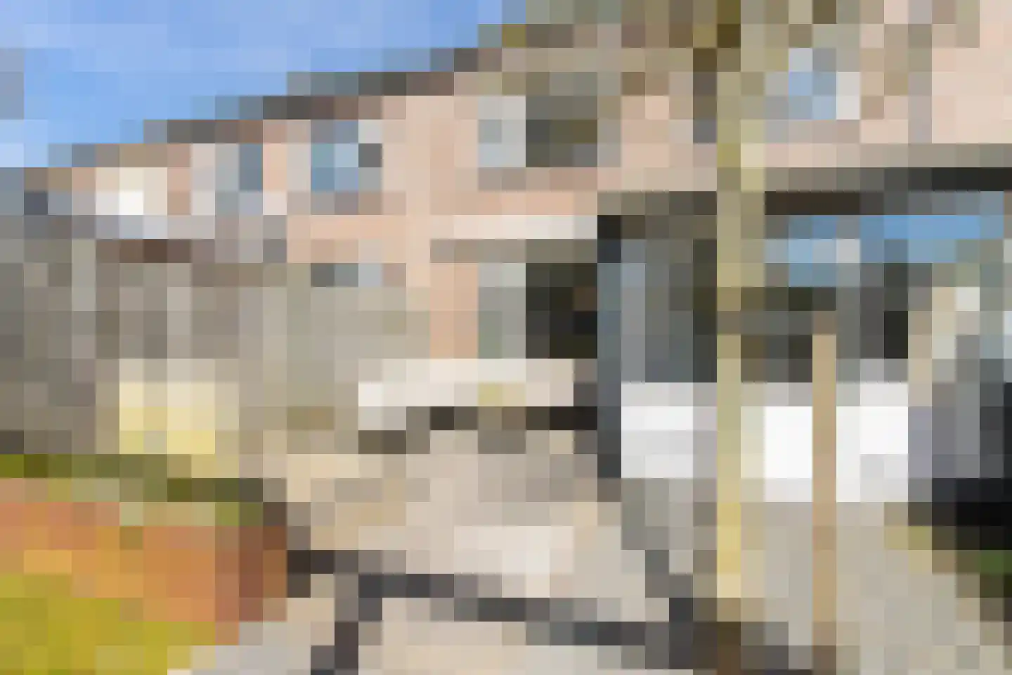 Johannis van Rijswijkstr 8 Gameren thumbnail 48