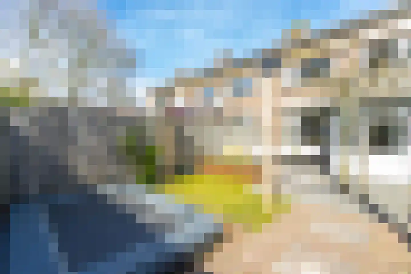 Johannis van Rijswijkstr 8 Gameren thumbnail 49