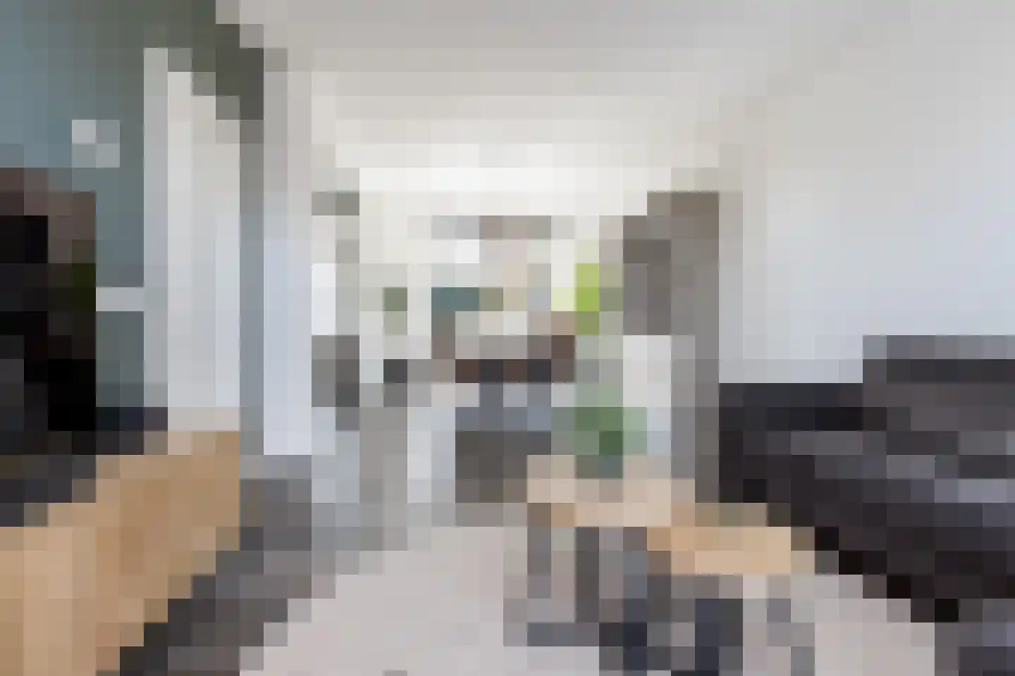 Johannis van Rijswijkstr 8 Gameren thumbnail 5