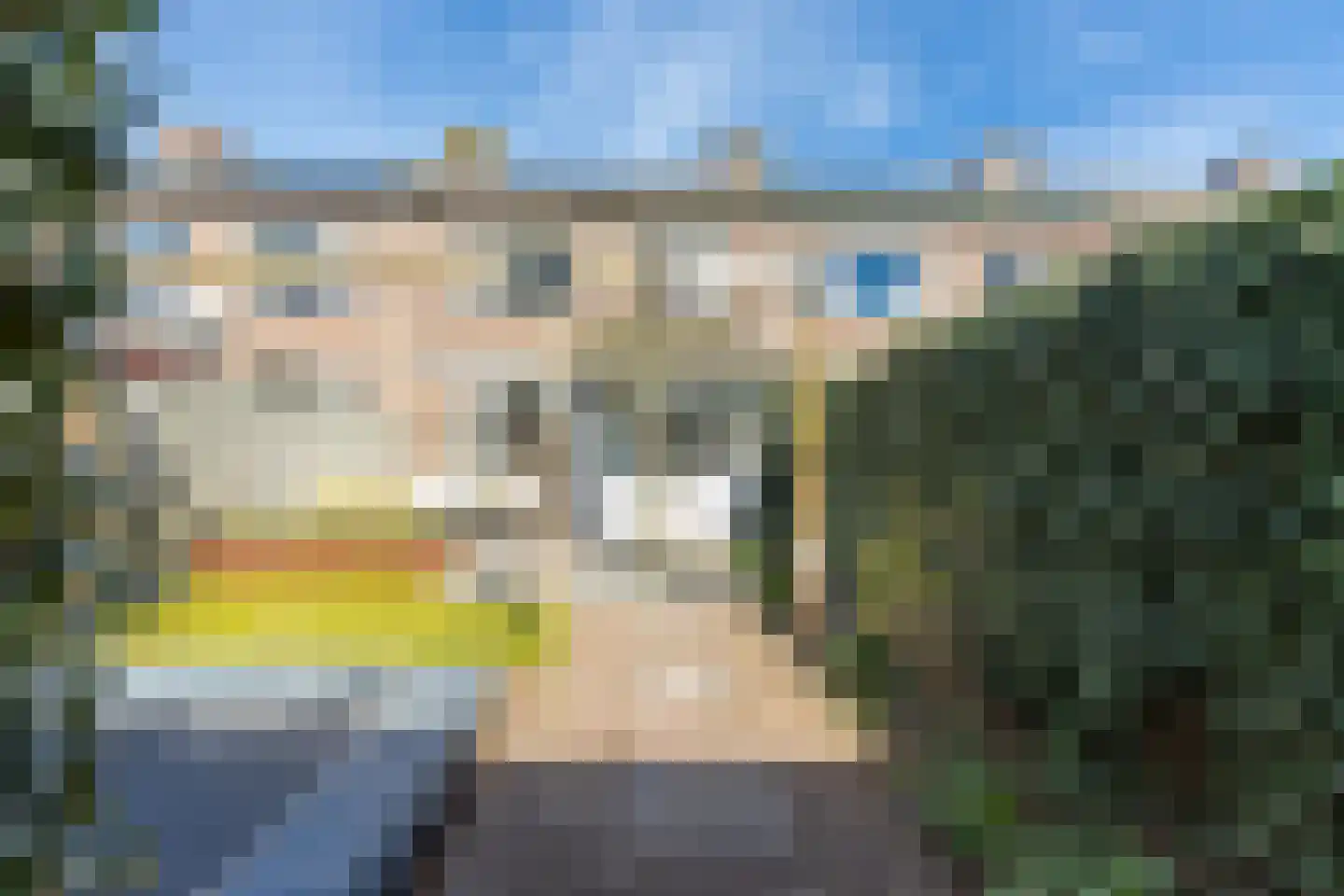 Johannis van Rijswijkstr 8 Gameren thumbnail 50