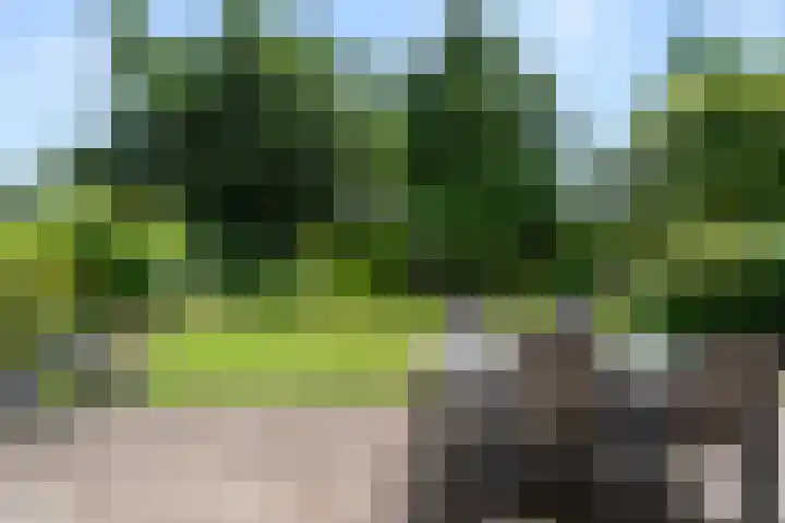 Johanniterlaan 15 Bennekom thumbnail 11